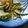 クックUL8OCM☆'s cooksnap of when they made レンジでもやしときゅうり、わかめナムル。.