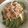 おづきのこ's cooksnap of when they made ツナとアボカド丼.