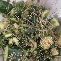 1muYuki's cooksnap of when they made キュウリのたたき　にんにく生姜ごま油.