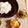 mack♪♪♪'s cooksnap of when they made 小松菜と小エビ炒め.