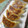 kurikuro's cooksnap of when they made うちんちの餃子.
