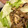 めぇプー♪'s cooksnap of when they made 簡単ウマウマ♪ひき肉とキノコのあんかけ丼.