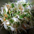 クックるん☆戦隊's cooksnap of when they made 簡単副菜♪豆苗と新玉ねぎのナムル.