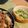 ☆トミィ★'s cooksnap of when they made 斬新！長ネギ大量消費！ネギチーズ.