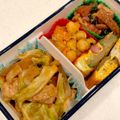 sofami's cooksnap of when they made お弁当。豚肉とキャベツ炒め.