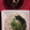 けいーぴー's cooksnap of when they made 干し椎茸と花かつおWの旨みで！麺つゆ♪.
