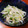 みい５２１２'s cooksnap of when they made やみつきナムル　豆苗ともやし.