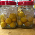 駿と夏と私のおやつ's cooksnap of when they made 簡単！＊自家製の梅酒(完熟南高梅使用).