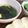ringoo☻'s cooksnap of when they made 味覇で作る☆わかめと玉子のスープ☆.