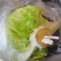 Hanna61's cooksnap of when they made シャキシャキ！レタスの保存法.