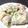 おらんでう～たん's cooksnap of when they made アイスプラントの生春巻き.
