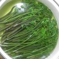 ちょこ✪0214's cooksnap of when they made わらびのあく抜き.