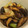 monchi”'s cooksnap of when they made 【作り置き】ネギとシイタケの炒め物.