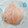 アメ★ブル's cooksnap of when they made 超簡単！新生姜の甘酢漬け.