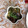 なつ1212's cooksnap of when they made ヘルシー なすと玉ねぎのとろっとレンジ煮.