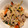 はやせいファーム's cooksnap of when they made 豚肉とごぼうの炒め煮.