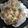 もんす。's cooksnap of when they made ♪離乳食後期♪はんぺんバーグ.