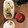 Suzu1330's cooksnap of when they made まるごとたまねぎとトマトのスープ野菜.
