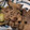 クック693ERR☆'s cooksnap of when they made ★簡単★なすと豚肉と空豆の味噌炒め.