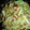 ＭＡＹＯＭＡＹＯ　's cooksnap of when they made ☆うまっ♪ちくわのｵｲｽﾀｰｿｰｽ炒め.