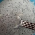 カクヨ's cooksnap of when they made ヨーグルト量産　.