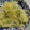 aizu_po's cooksnap of when they made 新玉ねぎとポテトの和えサラダ⭐️.
