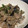 ☆キキララちゃん☆'s cooksnap of when they made 豚肉と茄子の味噌炒め.