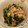 クックZHAW7E☆'s cooksnap of when they made レンジで簡単！ほうれん草のお浸し.