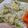 あとりえじーじょ's cooksnap of when they made 簡単！青のりバター粉ふきいも.