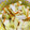 ☆Qro☆'s cooksnap of when they made 簡単◎ほんだしで浅漬け.