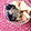 ふたごゆき's cooksnap of when they made りんごと黒豆きなこヨーグルト.