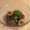 JackFruits's cooksnap of when they made 水なすとちくわの炒め煮☆.