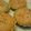 ちょびーす's cooksnap of when they made にんじんとチーズのマフィン.