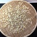 horseland's cooksnap of when they made かぼちゃの種を簡単に洗う方法.