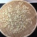 horseland's cooksnap of when they made かぼちゃの種を簡単に洗う方法.