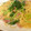 じょんミケ次郎's cooksnap of when they made 簡単♥ベーコンとほうれん草の和風パスタ♪.
