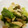 YOU1416's cooksnap of when they made しろ菜としめじの京風煮ひたし.
