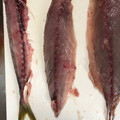 ネコのみさき's cooksnap of when they made 魚の三枚下ろし 鯖.