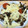ノビル's cooksnap of when they made 舞茸のチーズ焼き.