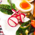 Satoco❋'s cooksnap of when they made ラディッシュ☆オシャレな盛りつけ飾り切り.