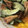 クックZ8J4H4☆'s cooksnap of when they made さつま揚げときゅうりのサラダ.