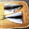 horseland's cooksnap of when they made カマスの干物.