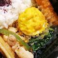 saalalan's cooksnap of when they made お弁当☆カレーマヨ味ゆで卵.