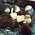 セグちゃん's cooksnap of when they made シンプル☆しいたけのバター焼き.