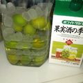 くまちゃん2004's cooksnap of when they made 梅酒を漬けてみた！.