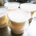 meiりんりん's cooksnap of when they made ゼラチンで なめらかプリン✧*.