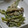 ヨシヨッシー's cooksnap of when they made ピーマンとしめじのマヨ炒め.