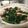 夏目隕石's cooksnap of when they made 黒キャベツとベーコンの炒め物.