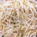 かみりょこママ's cooksnap of when they made 使い道いろいろ！電子レンジde茹でもやし.
