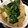 ＊chi〜ko＊'s cooksnap of when they made 厚揚げとほうれん草の煮物.